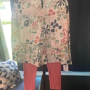 #78 - Brand New 2 piece set (Shirt & Pant). Size 4T. By the Carters Brand.